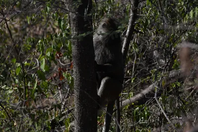 DSC_3448 (Large).JPG